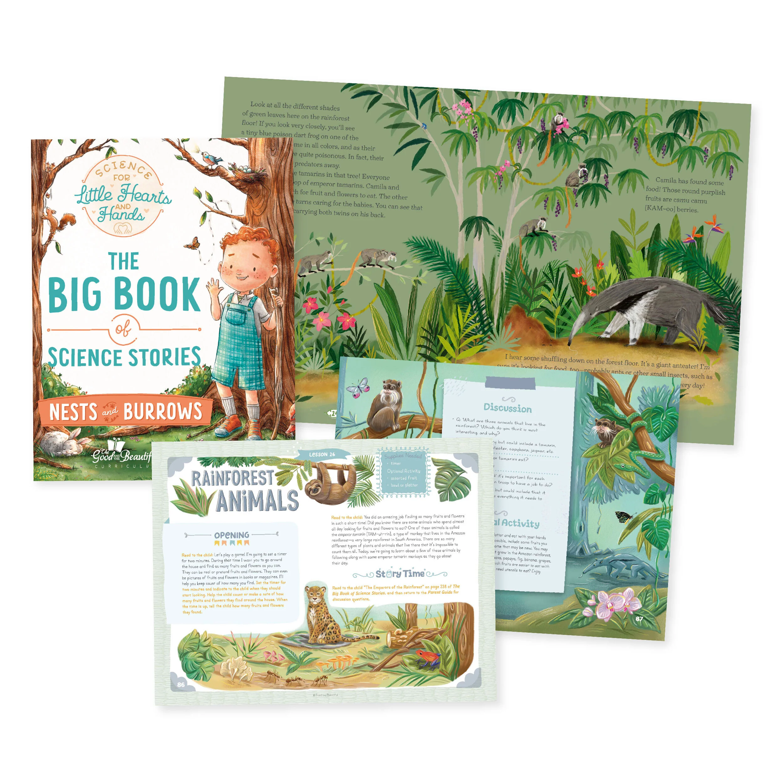 Thumbnail 5